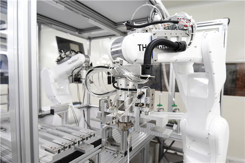 小膠囊沿西部陸海新通道遠航，數字技術賦能重慶企業造福全球